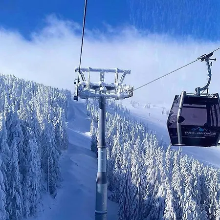 Brzece Center Mitrovski Gondola 300m