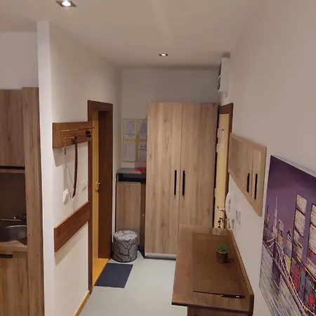 Apartment Brzece Center Mitrovski Gondola 300m *