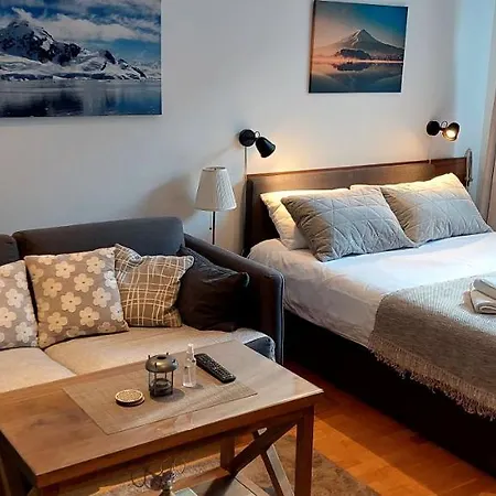 Brzece Center Mitrovski Gondola 300m Apartment *