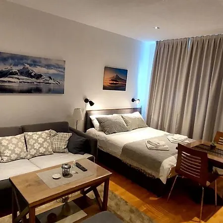 Apartment Brzece Center Mitrovski Gondola 300m