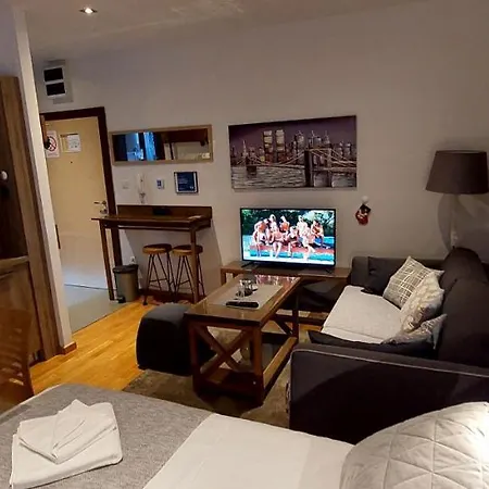 Brzece Center Mitrovski Gondola 300m Apartment *