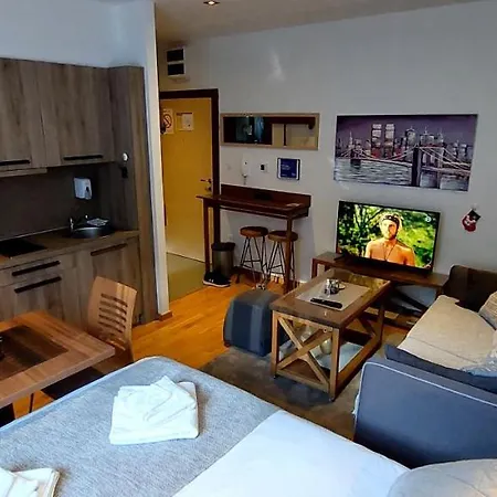 Brzece Center Mitrovski Gondola 300m Apartment Kopaonik